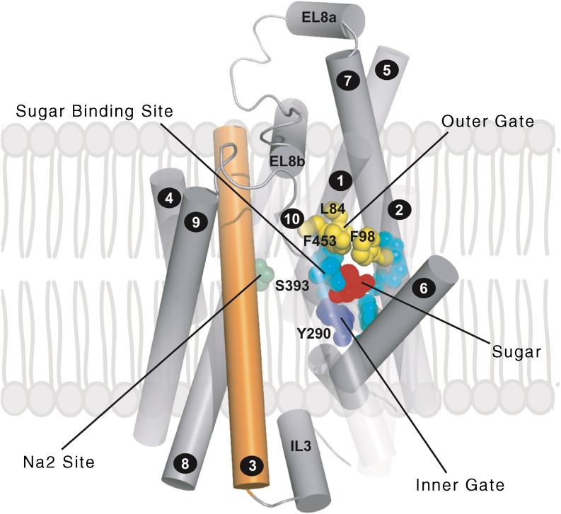 Fig. 7