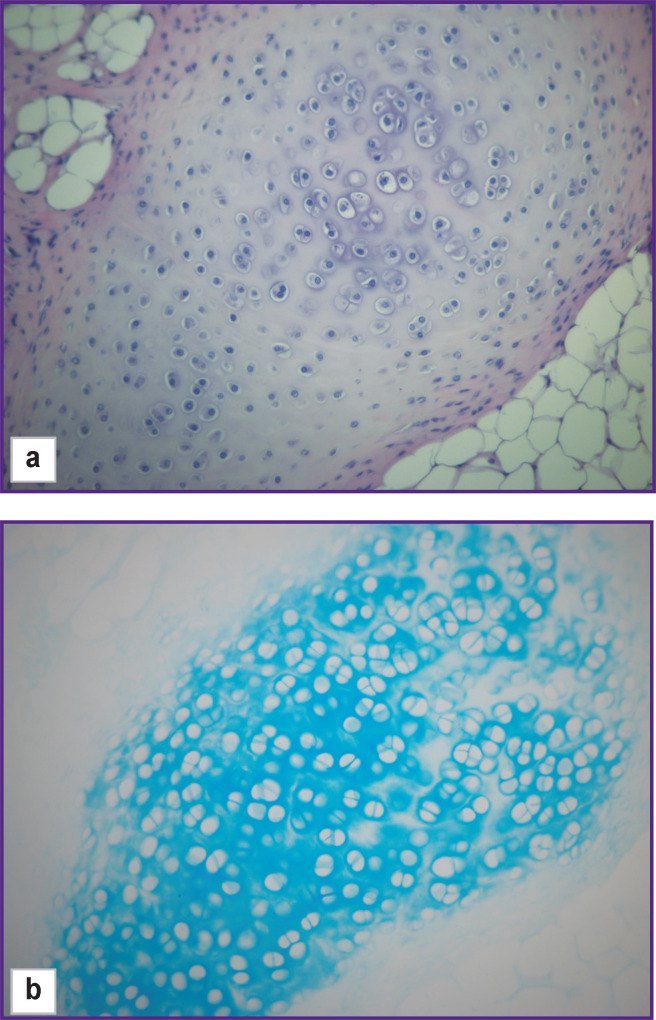 Figure 13.