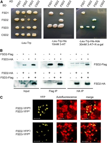 Figure 6.