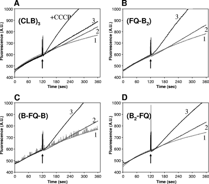 FIG. 6.