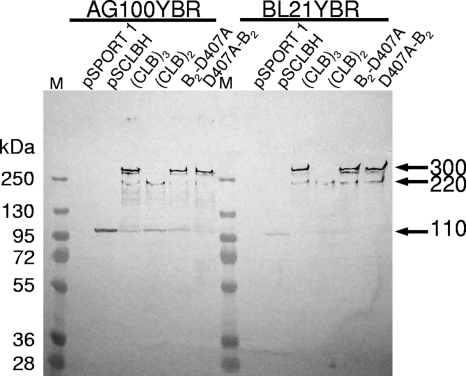 FIG. 4.