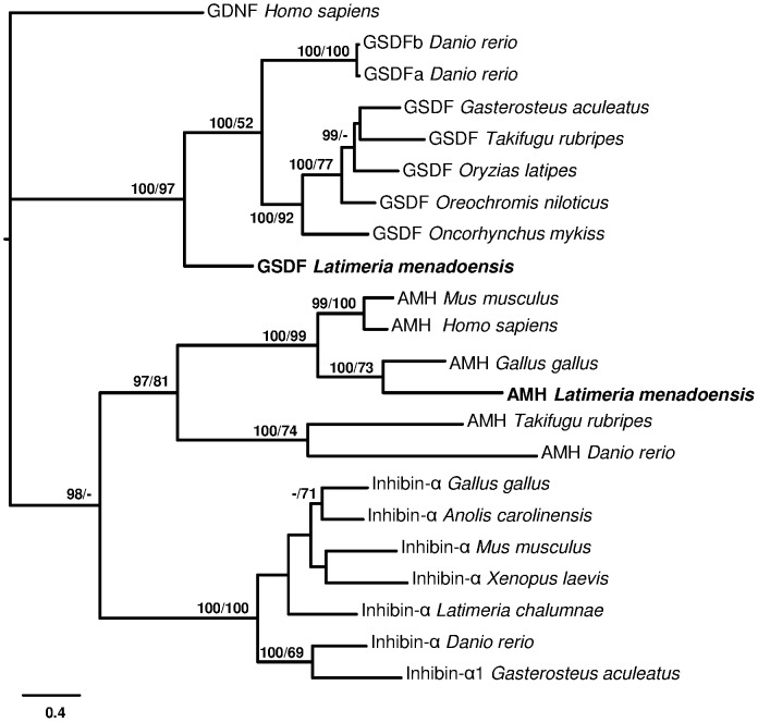 Figure 7