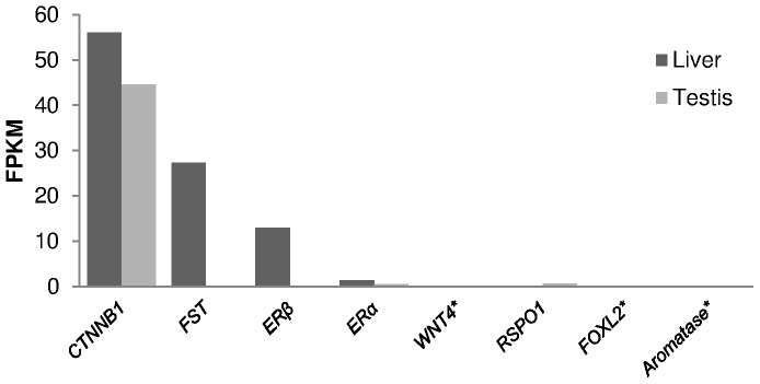 Figure 9