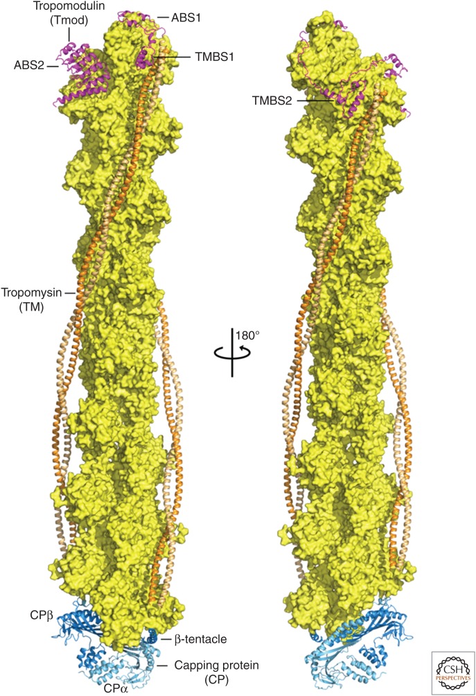 Figure 8.