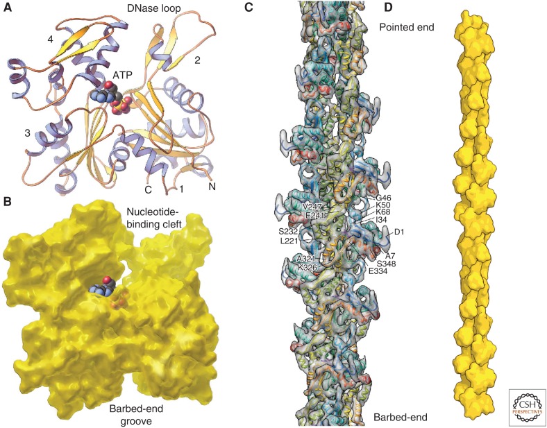 Figure 1.