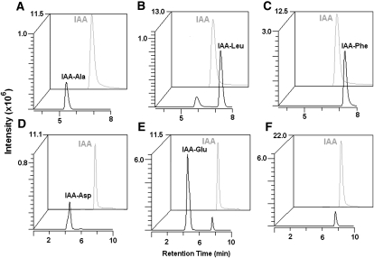 Figure 4.