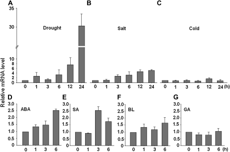 Figure 7.