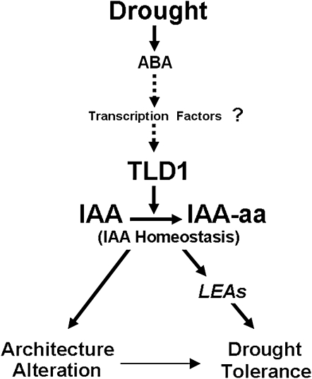 Figure 9.