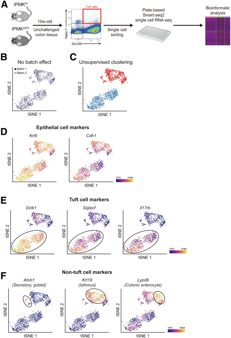 Figure 11