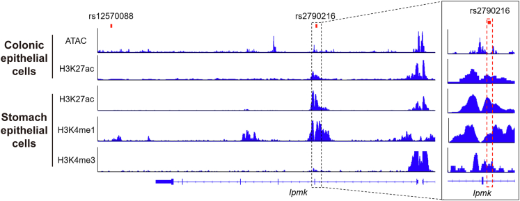 Figure 1