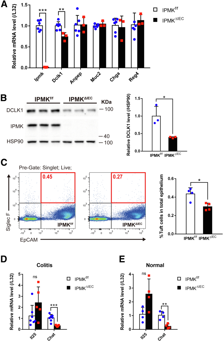 Figure 10