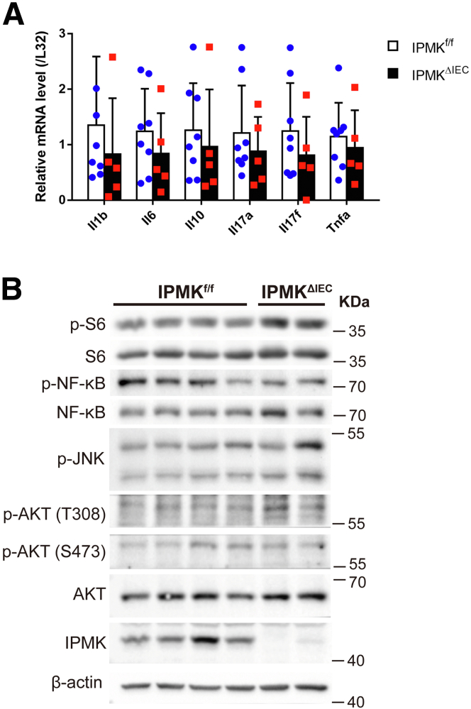 Figure 5