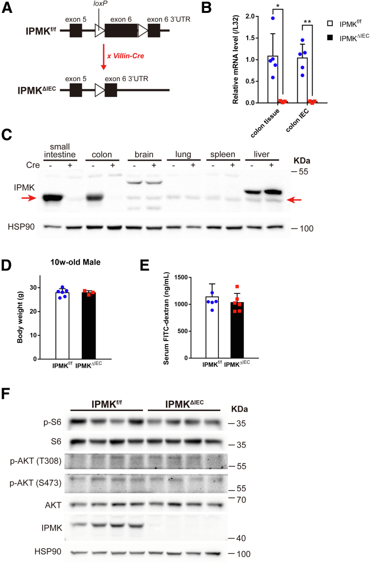 Figure 3