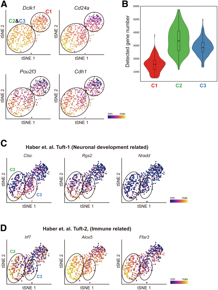 Figure 13