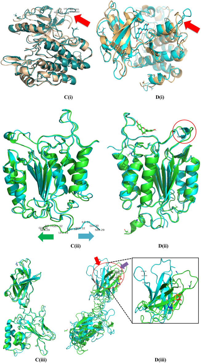 Fig. 10