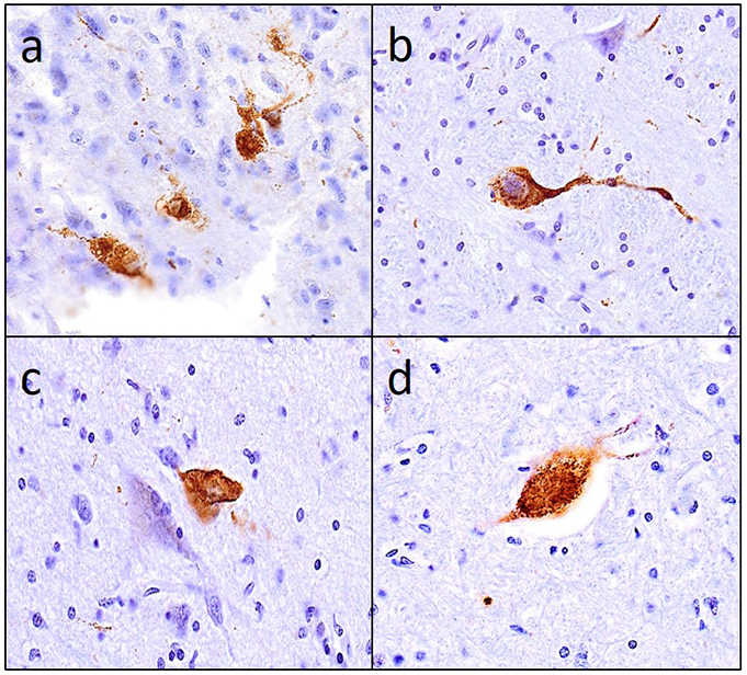 Figure 4.