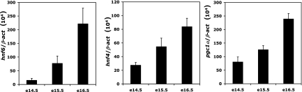 FIG. 6.