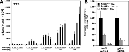 FIG. 8.