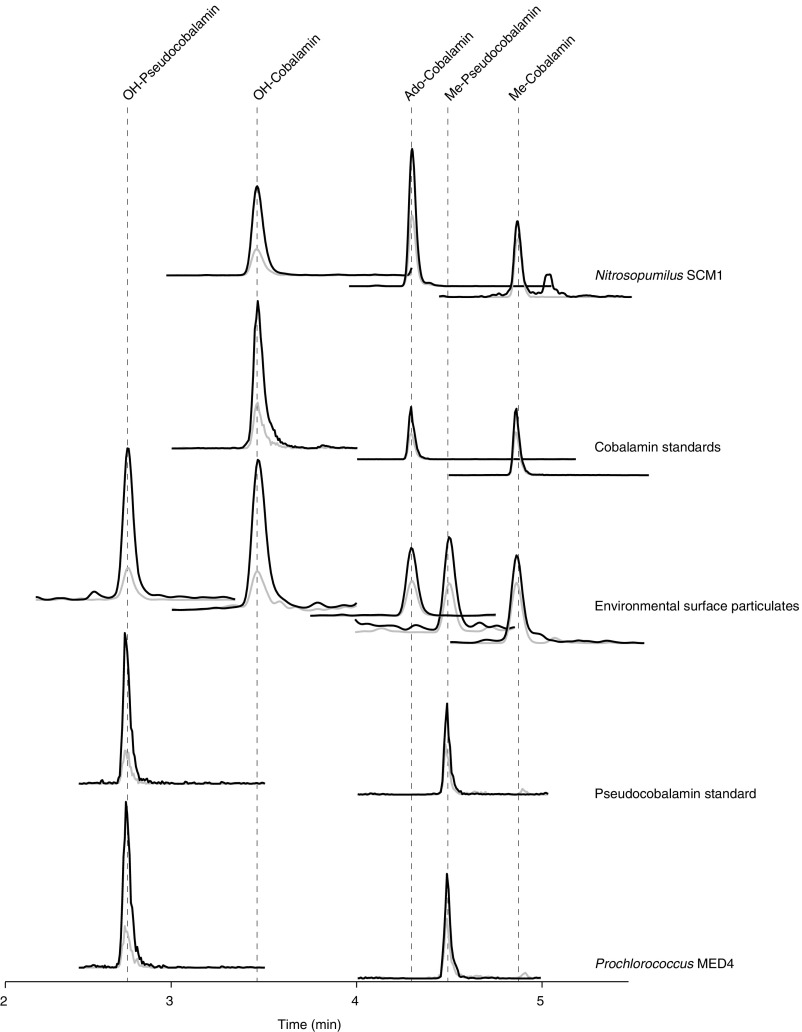 Fig. S6.