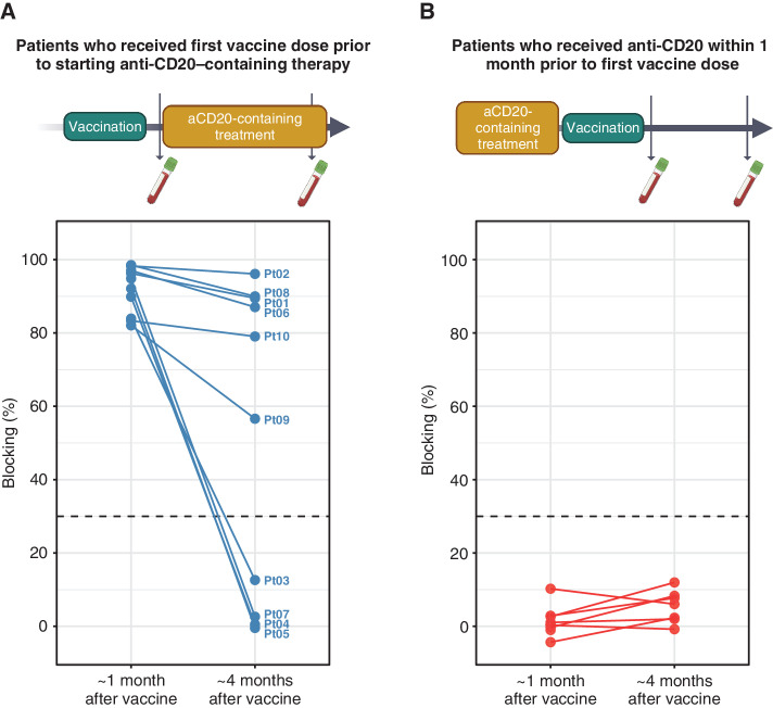 Figure 3. Vaccinating prior to anti-CD20 treatment can allow for persistence of antibody responses in the face of therapy. A, Blocking activity for 10 patients who demonstrated positive antibody responses after vaccination and who shortly thereafter received anti-CD20–containing treatment and were followed for persistence of response after 4 months/cycles of treatment had passed. B, For comparison, blocking antibody responses from nine patients who received anti-CD20 antibody therapy shortly prior to vaccination (reversed sequence), assessed 1 and 4 months after vaccination. See Supplementary Table S3 for characteristics of cohort in A. aCD20, anti-CD20 antibody; Pt, patient.