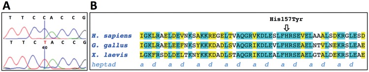 Figure 3.