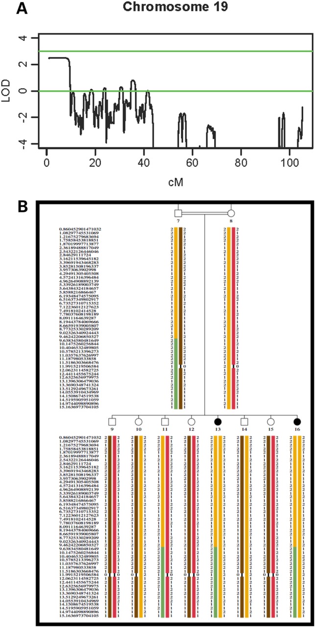 Figure 2.