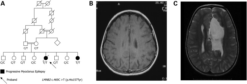 Figure 1.