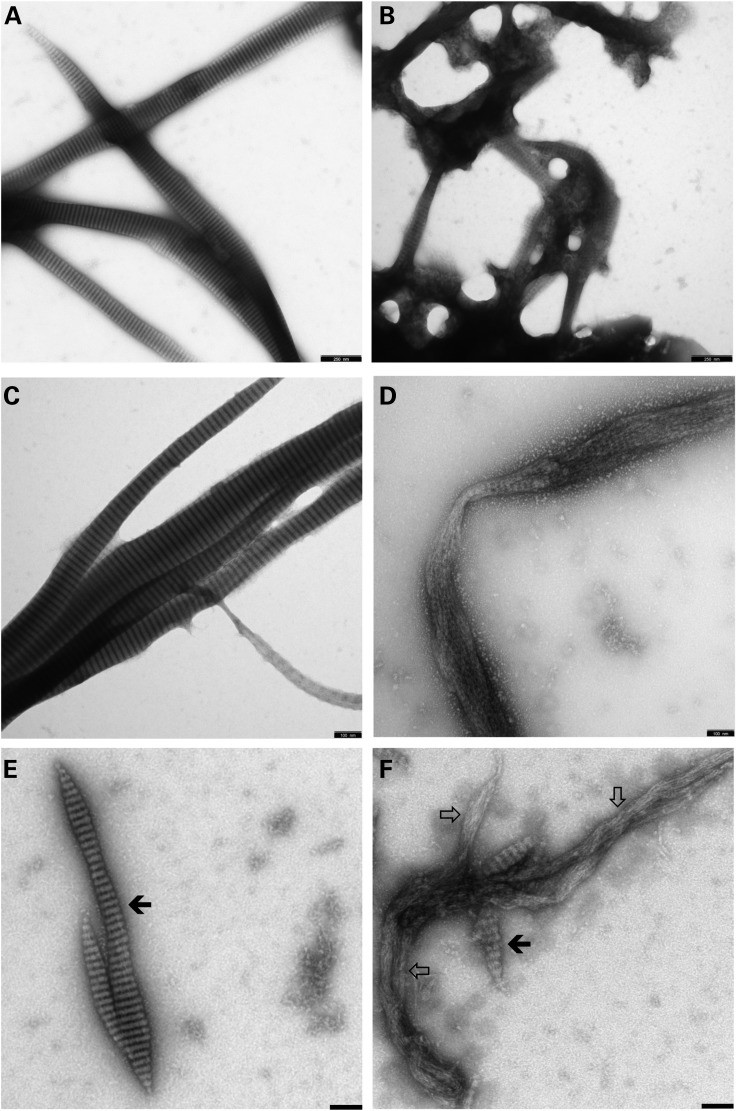 Figure 4.