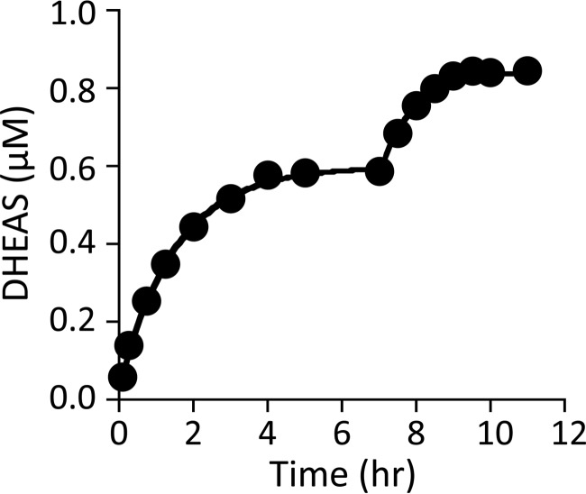 FIGURE 3.