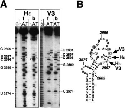 FIG. 8