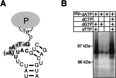 FIG. 3