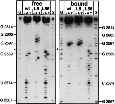 FIG. 5