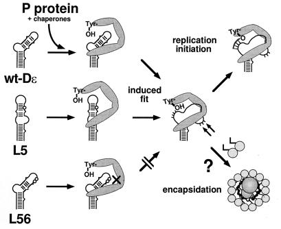 FIG. 9