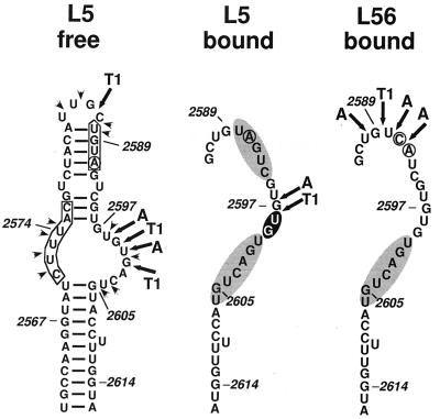 FIG. 7