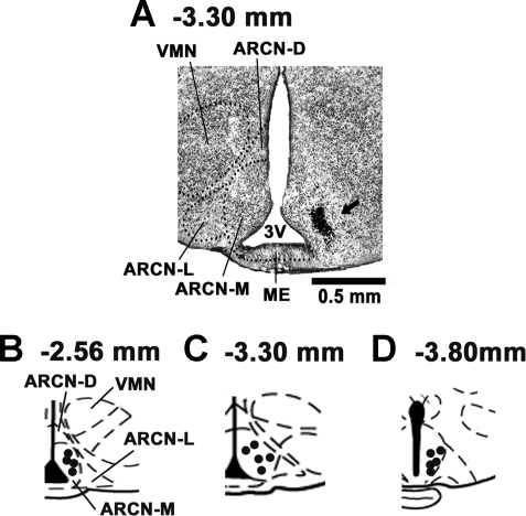 Fig. 5.