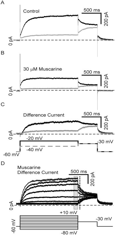 Fig. 10