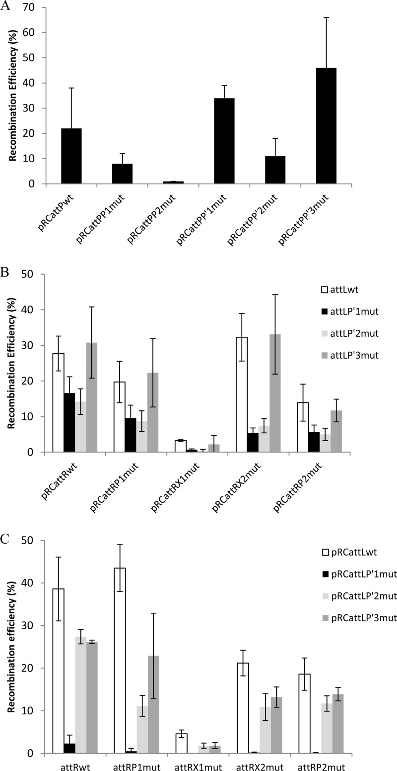 FIG 2