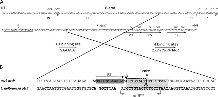 FIG 1