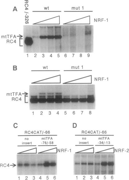 graphic file with name pnas01126-0126-a.jpg