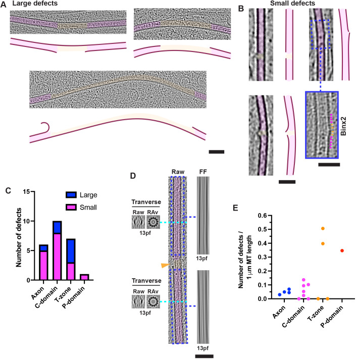 Fig. 7.