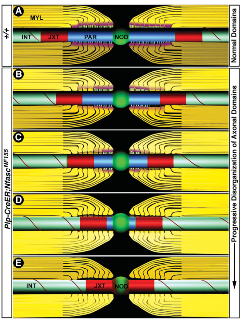 Fig. 8