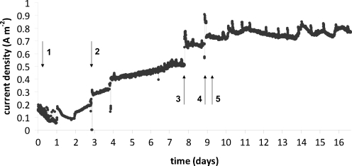 Fig. 3