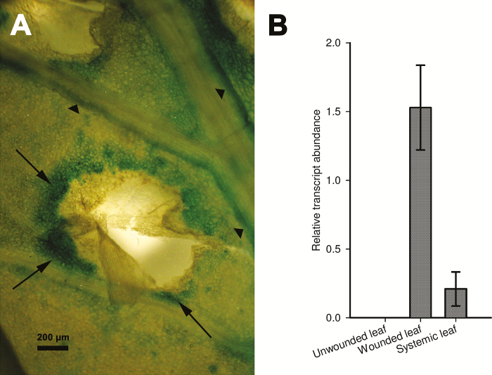 Fig. 3.