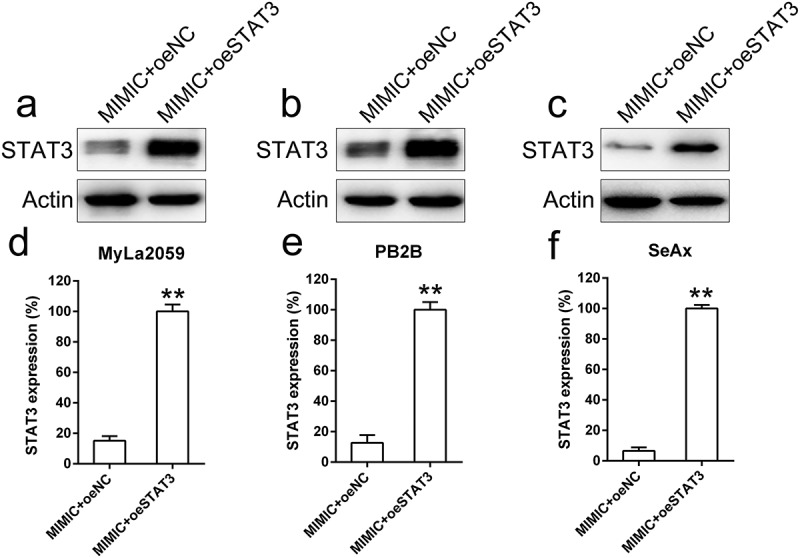 Figure 6.