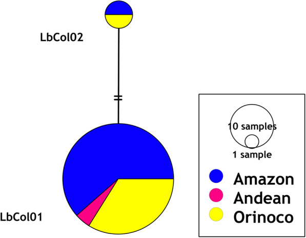 Fig. 3