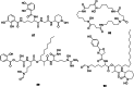 Fig. 15