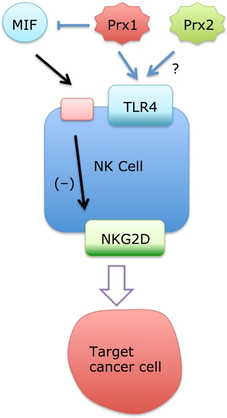 Fig. 4