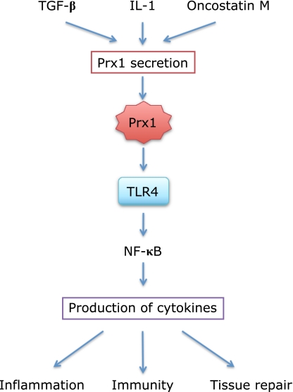 Fig. 3