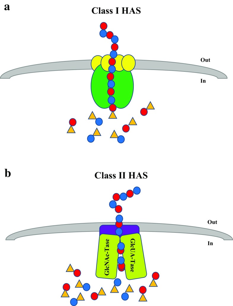 Fig. 3