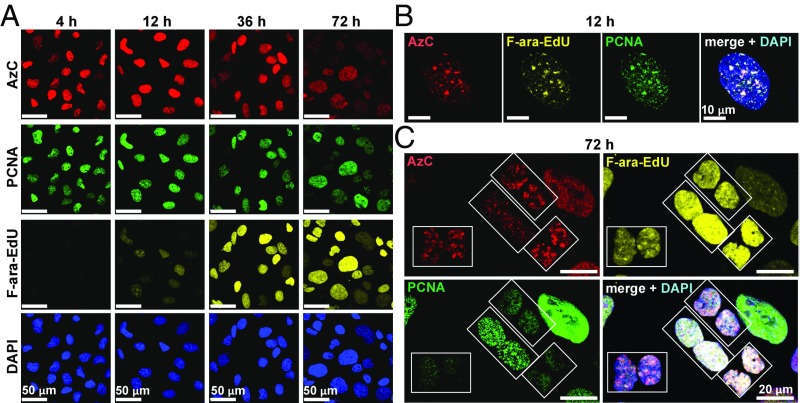 Fig. 6.